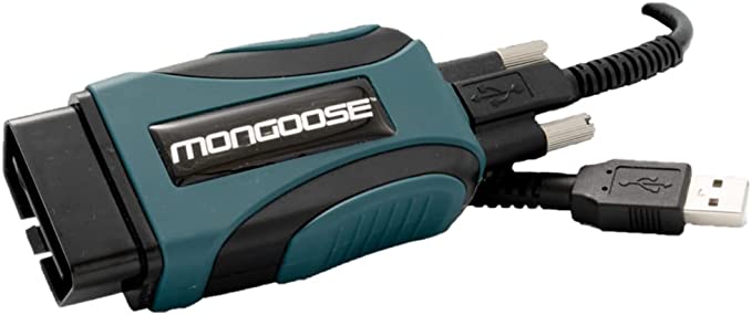 mongoose